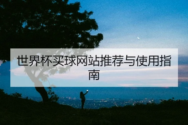 世界杯买球网站推荐与使用指南