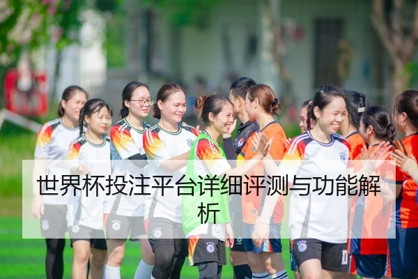 世界杯投注平台详细评测与功能解析
