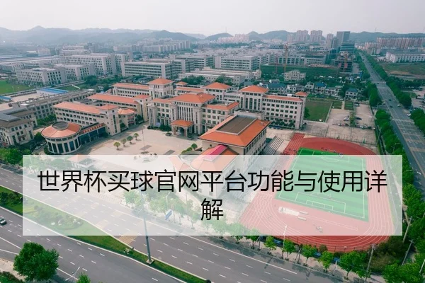 世界杯买球官网平台功能与使用详解