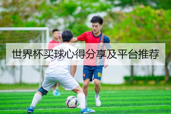 世界杯买球心得分享及平台推荐